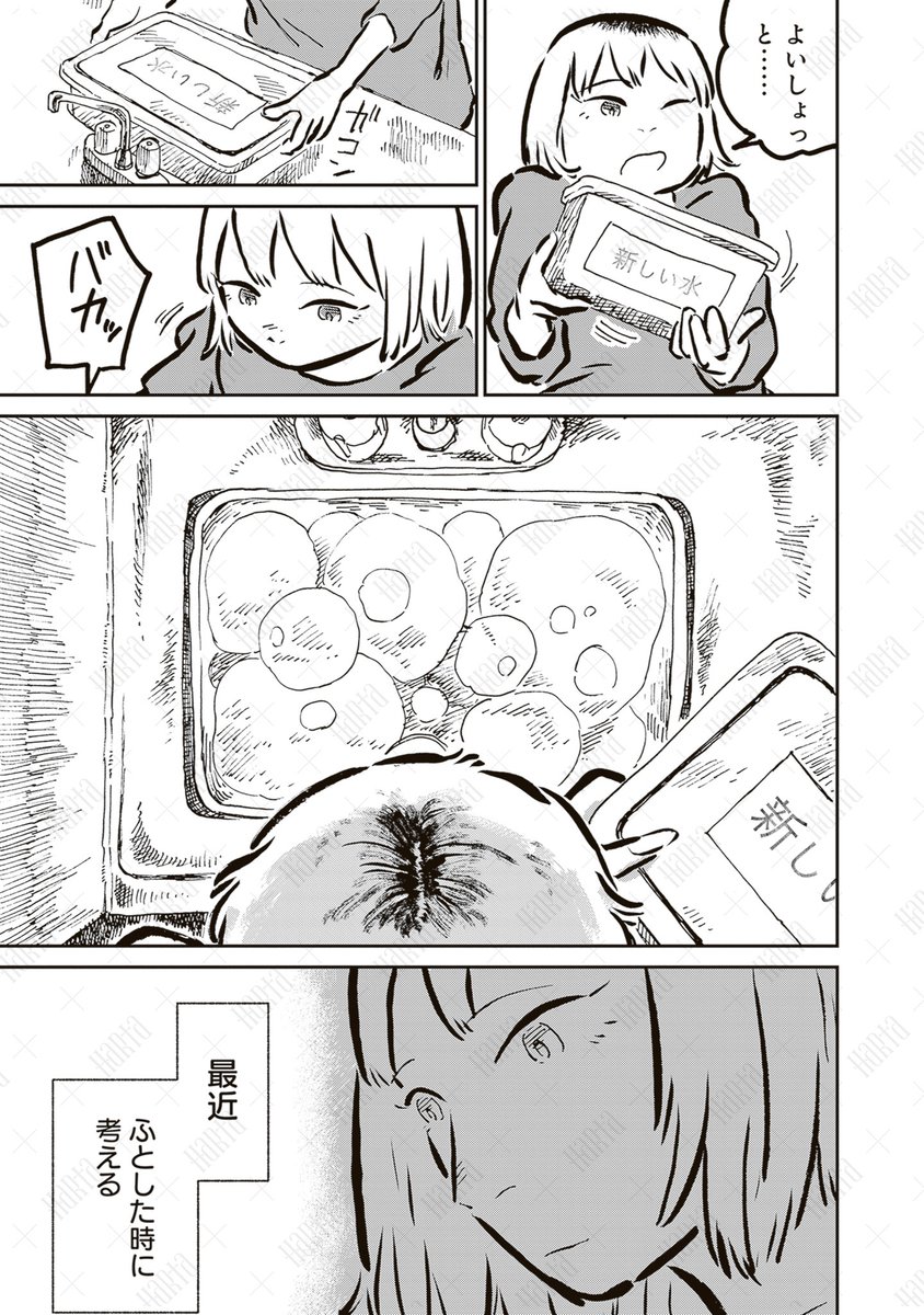 (4/5) 