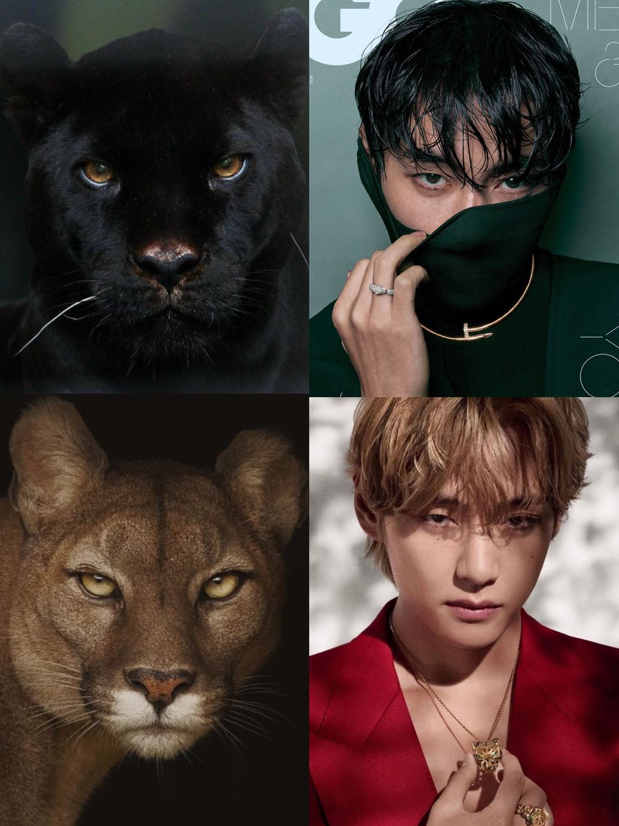 taesmug's tweet image. Kim Taehyung you're insane