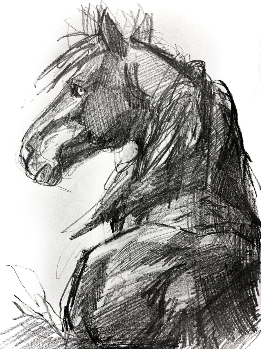 ShionTakahashiE's tweet image. 黒馬のスケッチ