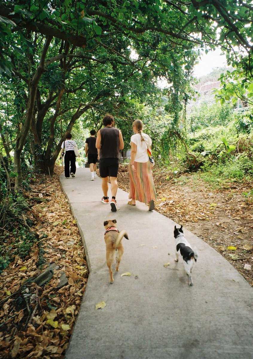 urbansoul_00's tweet image. 旅行に行くならこのフィルムカメラ👇