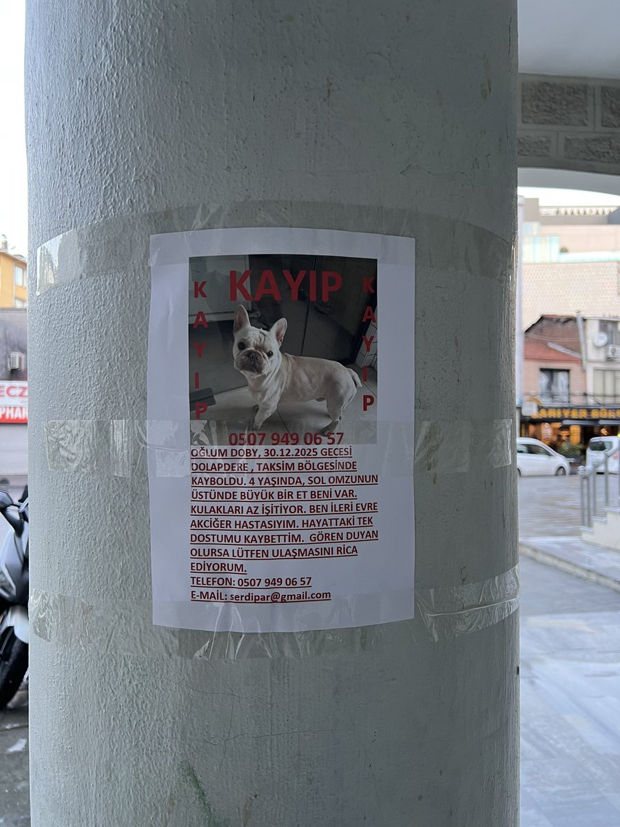 Bugün sokakta şu ilana denk geldim elden ele yayarsak belki Dobby’yi ailesine kavuşturabiliriz <a href="/HayvanHTP/">Hayvan Hakları Platformu Türkiye</a> <a href="/hhplatformu/">İstanbul Hayvan Hakları Platformu</a> <a href="/istanbulhayvan/">İstanbul Hayvan Hastanesi</a> <a href="/BeyogluBld/">Beyoğlu Belediyesi</a> <a href="/taksimbelediye/">Taksim Belediyesi</a> <a href="/egzOzpirincci/">Ozge Ozpirincci</a> <a href="/ezgimola/">ezgi mola</a> <a href="/fzaofficial/">fafazey</a> <a href="/alpklnctr/">Alp Kılınç</a>