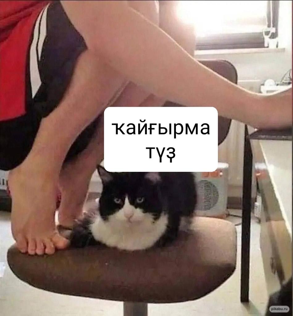 bashkortmem's tweet image. 