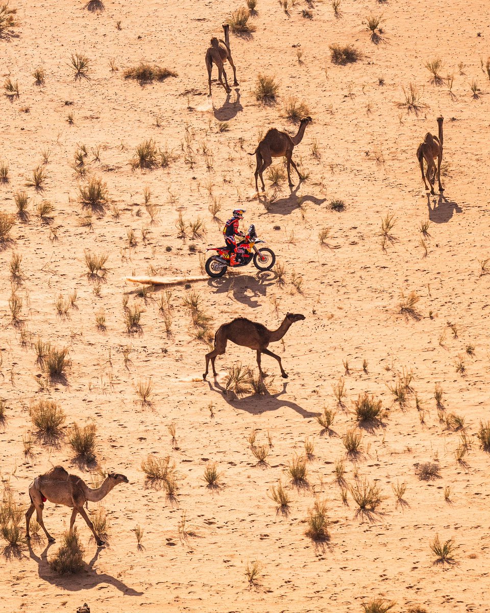 預訂日期至12-Dec-24】TUNSHI STUDIO - 吞時工作室SNK正版授權1/12《METAL SLUG 3》- 可動駱駝, image size:960x1200