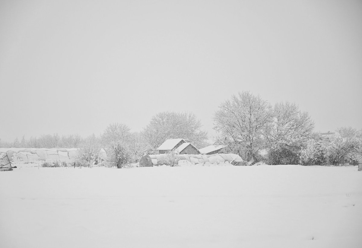 Bilo jednom u Vojvodini...
