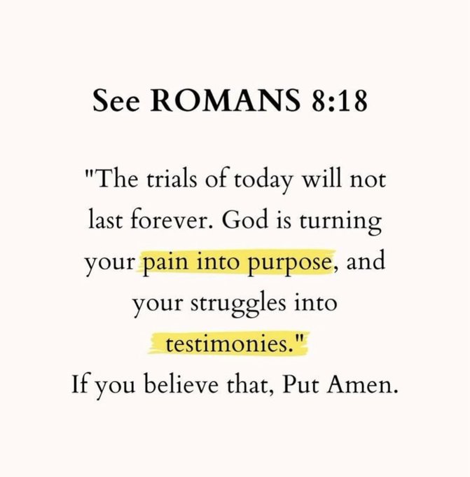 Bible 365 tweet media