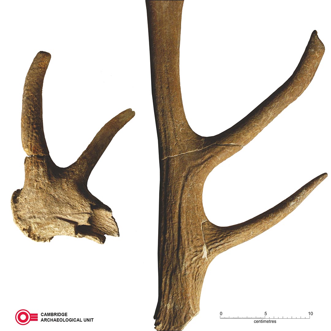 Cambridge Archaeological Unit tweet media