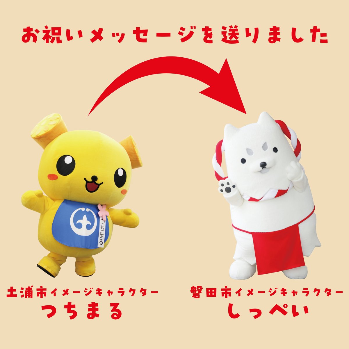 つちまる から #しっぺい くんへメッセージを送りました✉】 静岡県