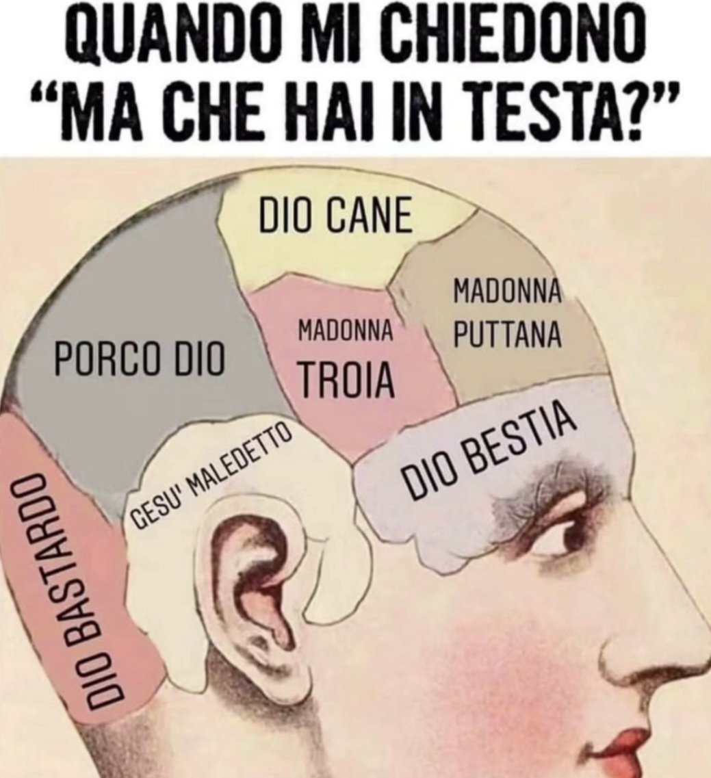 Luca🎈⚡️ tweet media