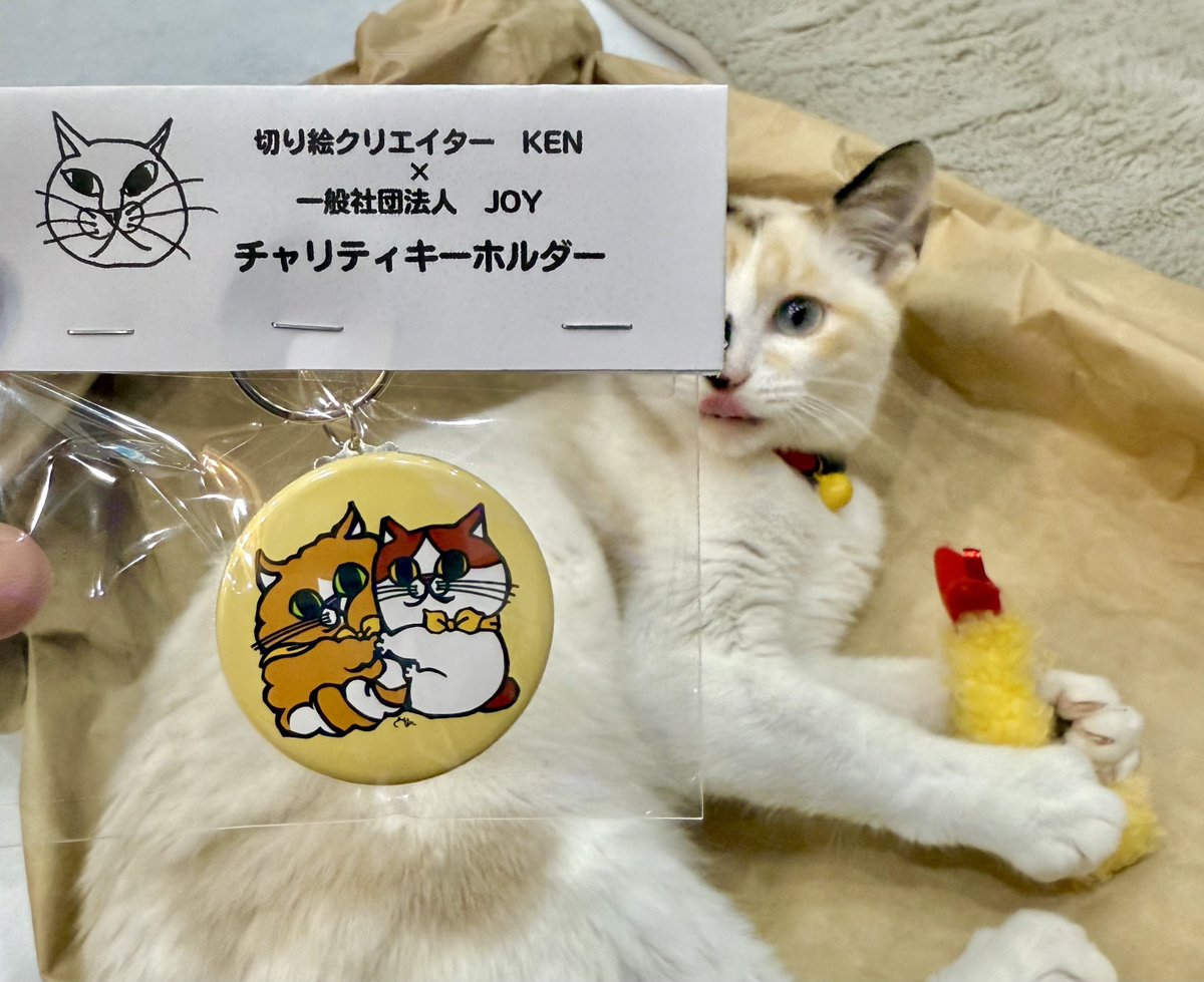 なみそ📕KEN/書籍重版！感謝📙 (@omochi_nam01) / Posts and Replies / X