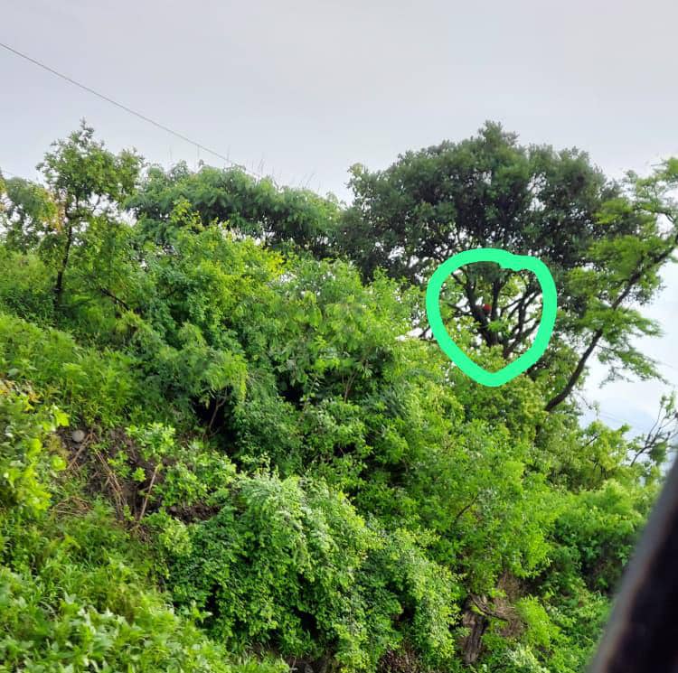 UMOJA WA HAKI ZA MADEREVA@🇹🇿🇹🇿🇹🇿🇷🇼🇷🇼🥰🙏 tweet media