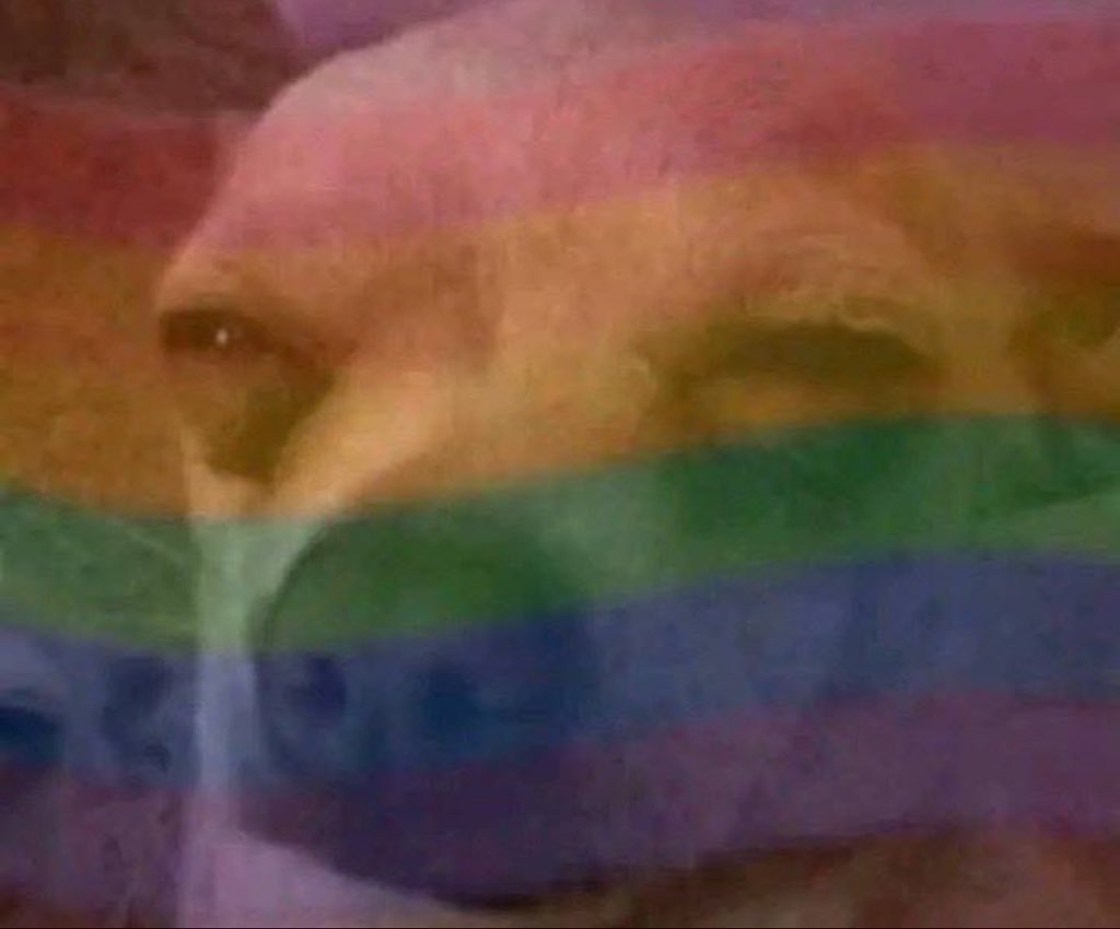 AONE 💷™️ tweet media