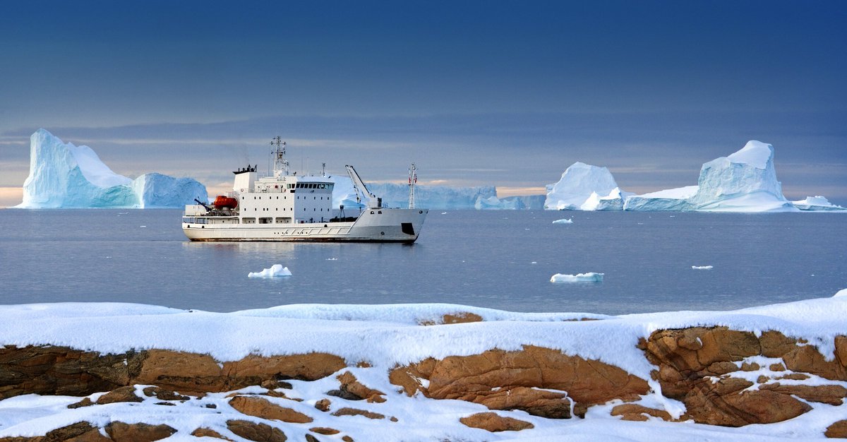 Shipping Telegraph tweet media