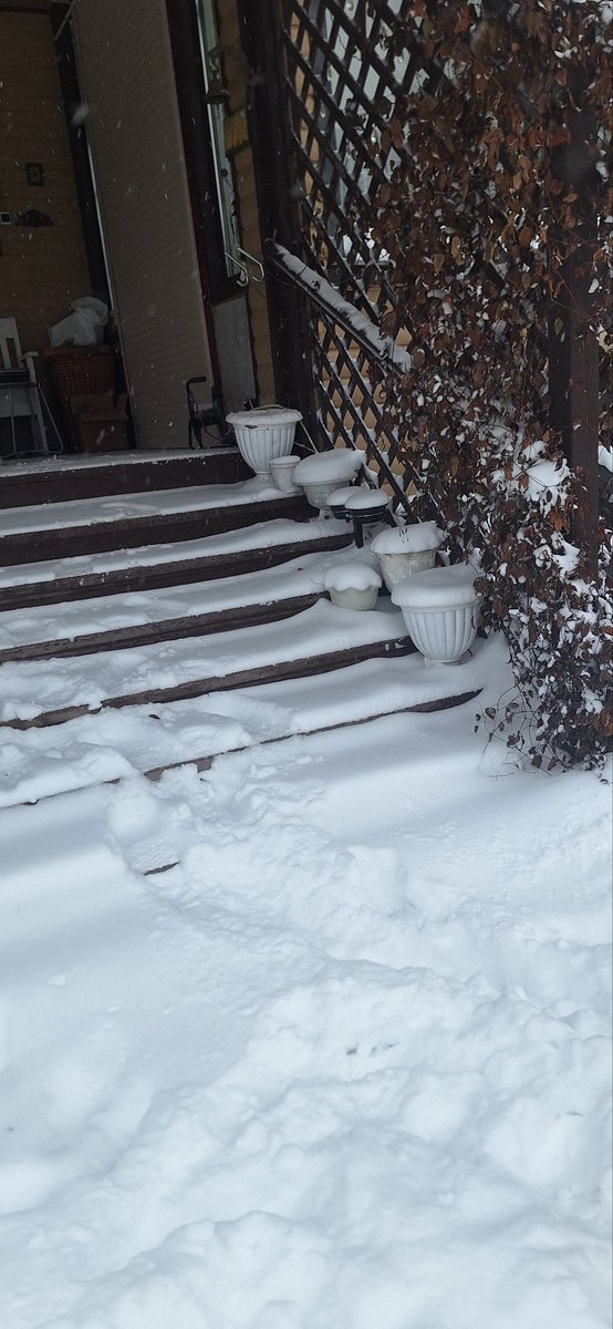 Снега насыпало по третью ступеньку. Интересно как доеду сегодня:)