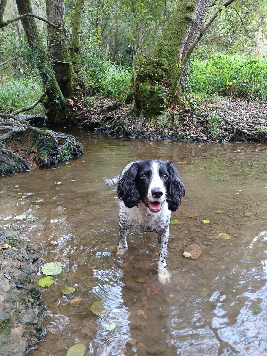 Anyway...., d'ya like dags. 😉