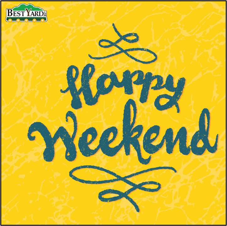 BestYard tweet media