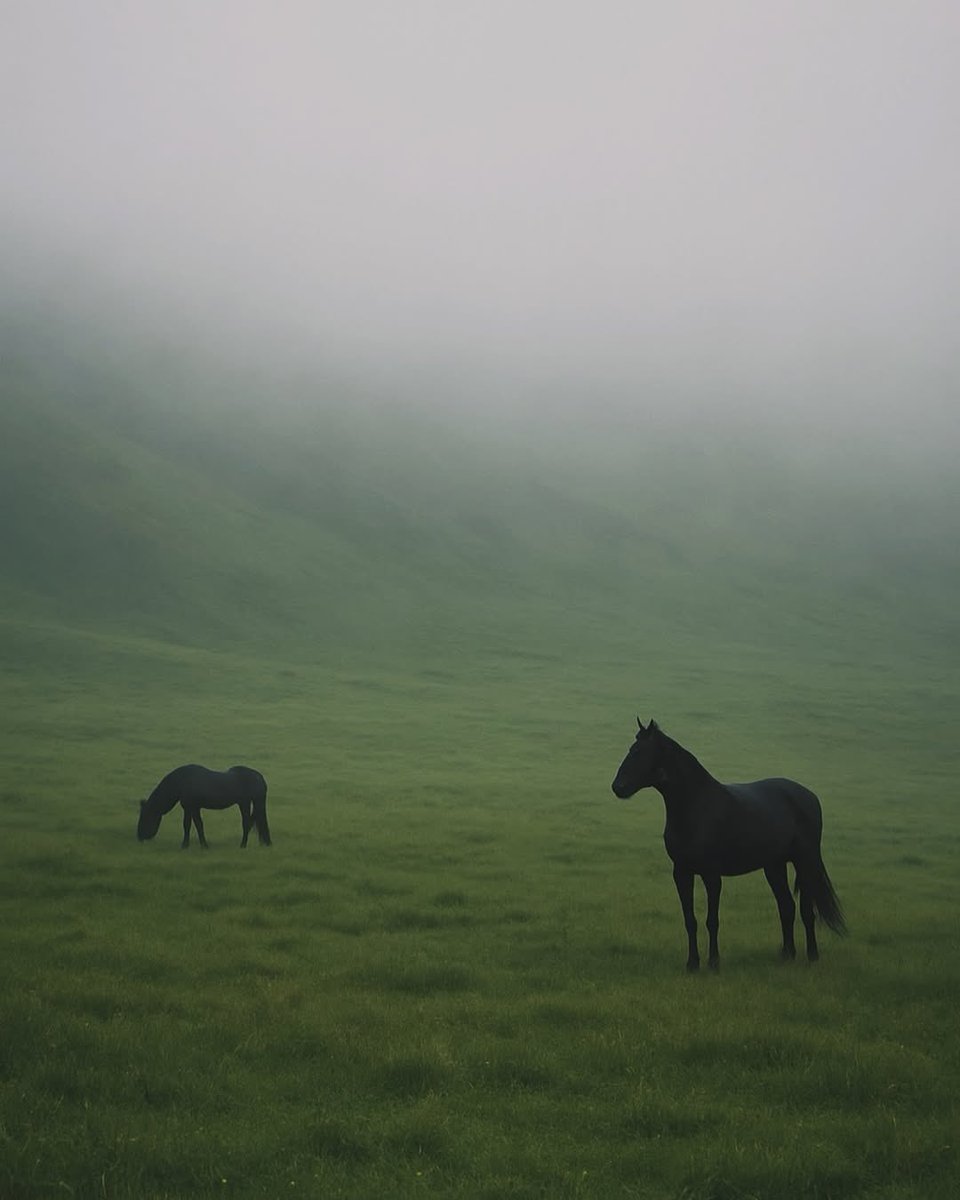 Butterflless's tweet image. 