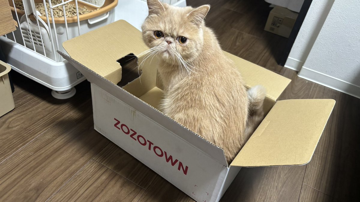 bumkey_key's tweet photo. ようやく新しいお仕事パック買えた😿
新年だから新しいものを🤍🤍🤍

ロケットもかわいい！！
 #ZOZOSALE箱CP https://t.co/Pr9hvlA6Ya
