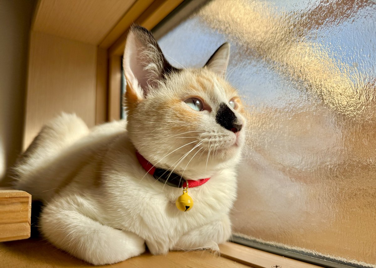 なみそ📕KEN/書籍重版！感謝📙 (@omochi_nam01) / Posts and Replies / X