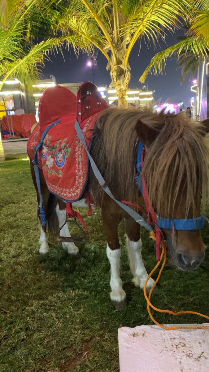 789_00a's tweet image. 🤍🤍✨✨.