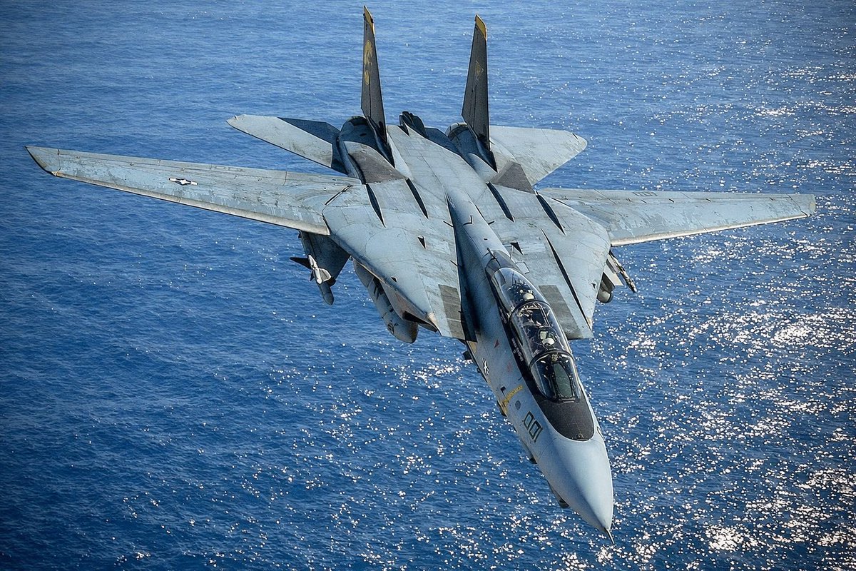 snk_oda's tweet image. TOUGH BOY?   #TOMCAT