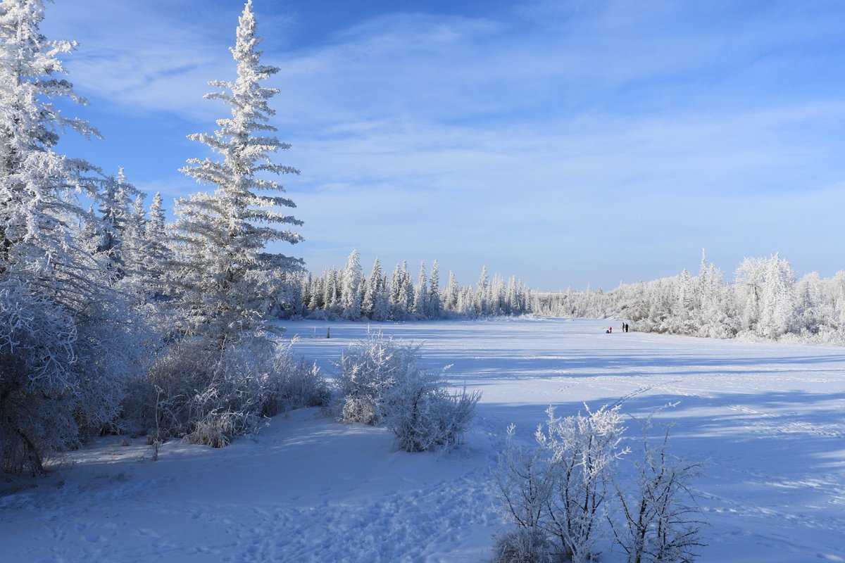 Weaselhead Society tweet media