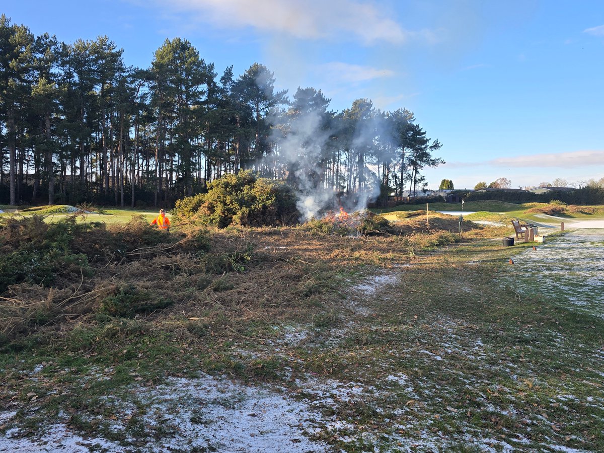 Ipswich golf club ecology page tweet media