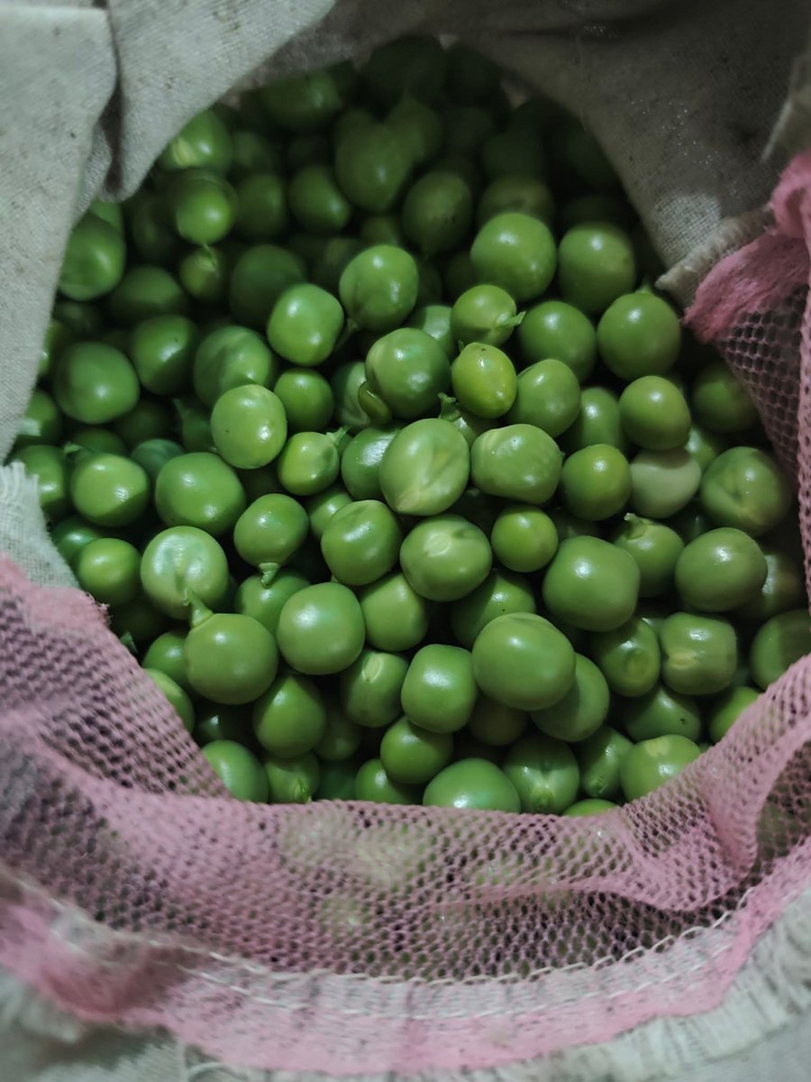 DeepChand $BOSS tweet media