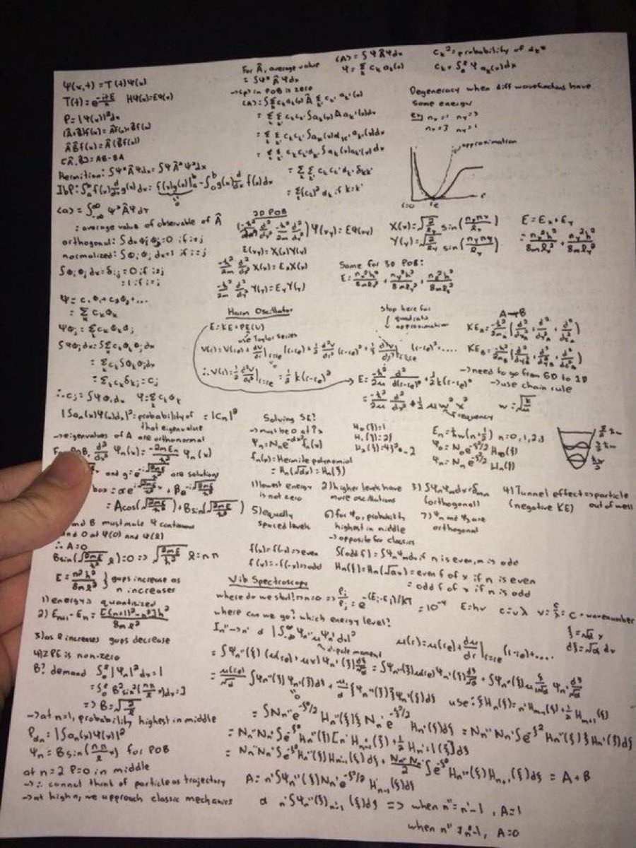 a letra de bunny is a rider