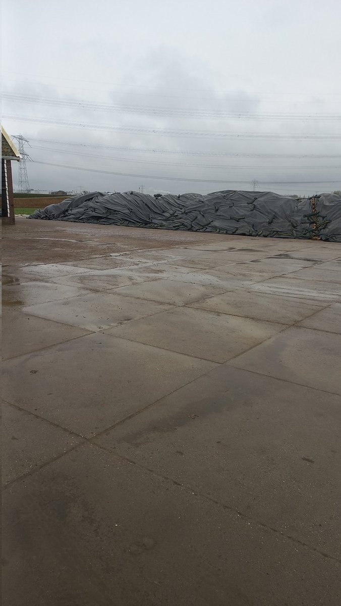 Tonis Boot tweet media