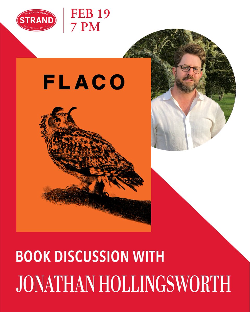 Manhattan Bird Alert tweet media