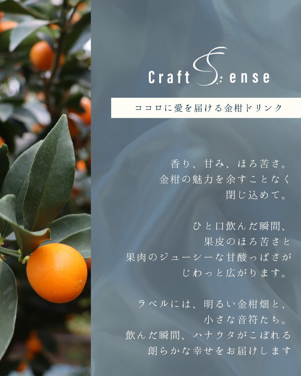 TOMORU｜POPUP EVENT tweet media