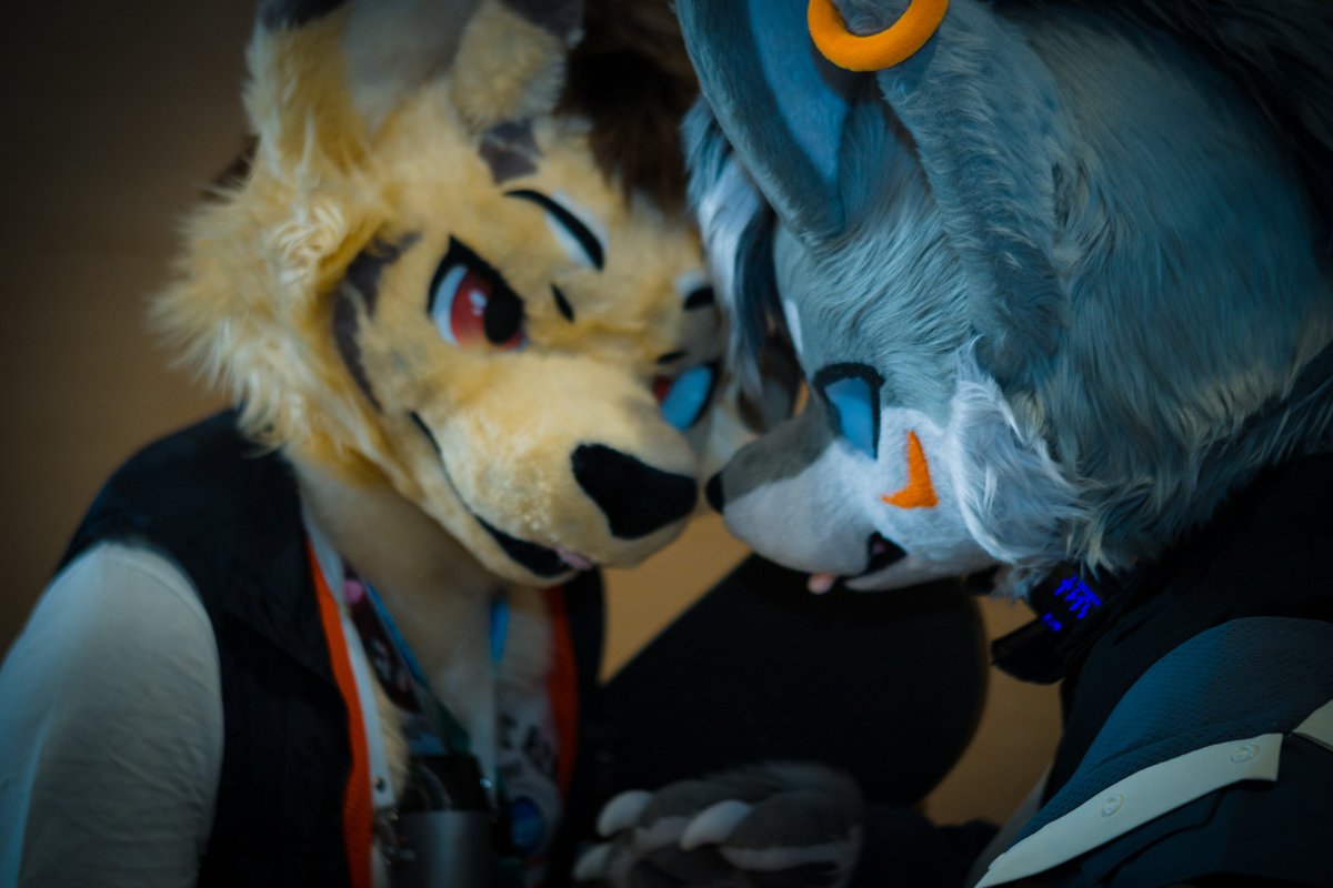 我系巴恩 tweet media