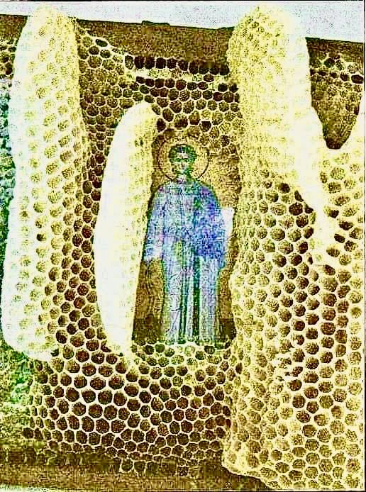 Orthodox Faith tweet media