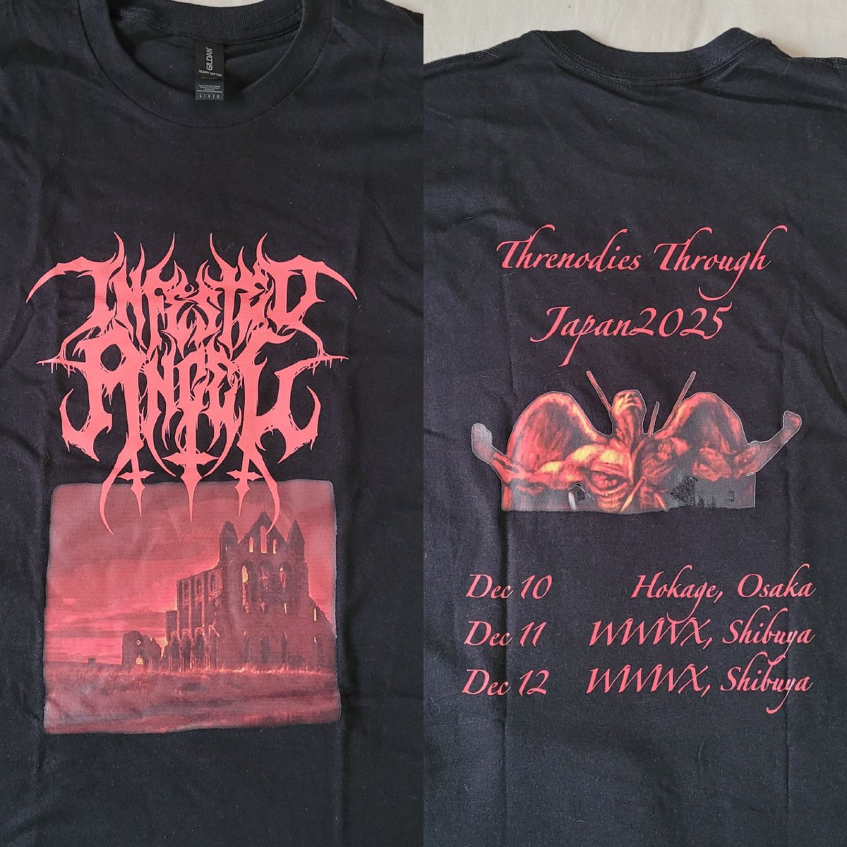 Infested Angel tweet media