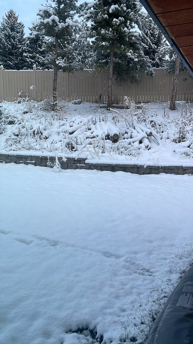 willbikesalot's tweet photo. It snowed! https://t.co/DsPBeU4MYX