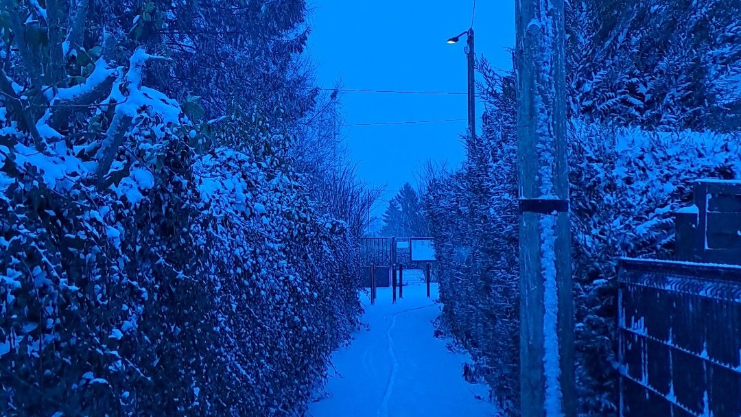 princessemystic's tweet image. Everything is blue