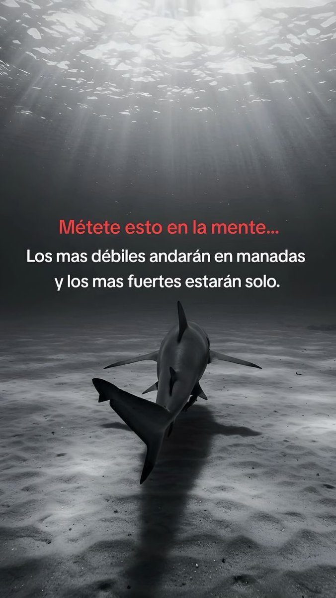 Disciplina (@eligedisciplina) on Twitter photo 