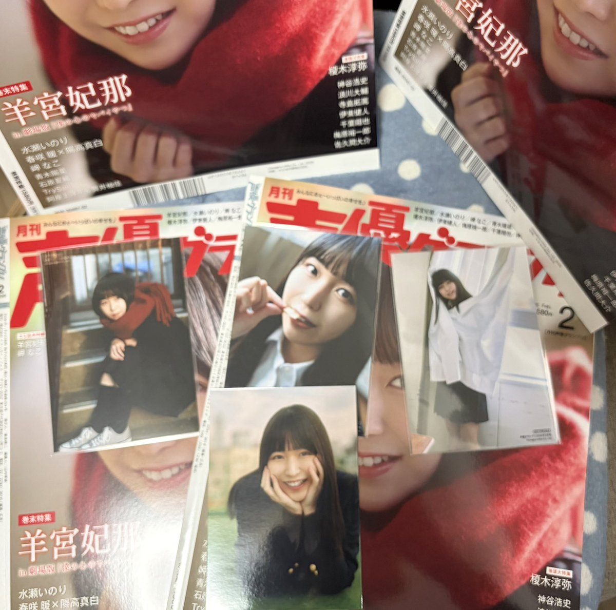 4種類揃った✨️🐑