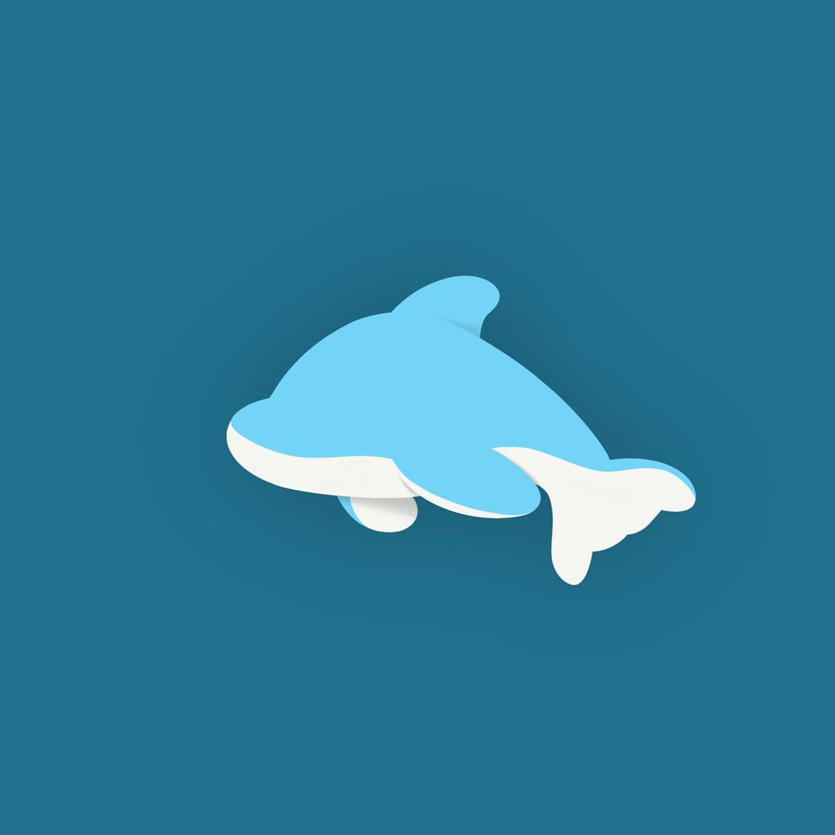 CocoDolphins tweet picture