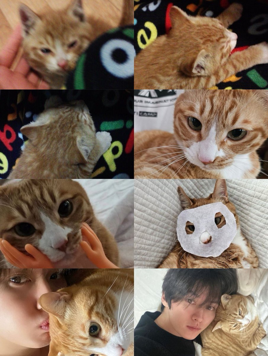 minhoadickted's tweet image. FELIZ CUMPLE A SOONIE 🐈

15 años acompañando a nuestro leeknow, lo viste crecer y convertirse en un gran artista! LARGA VIDA

#HappySoonieDay