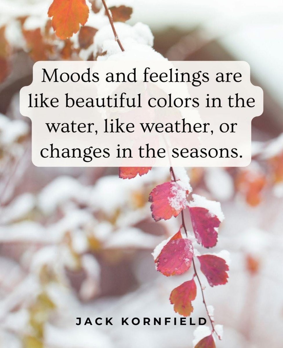 JackKornfield's tweet photo. The promise and sometimes blessing of emptiness is that all thoughts, feelings, and sensations arise, are experienced, and then pass away like snowflakes through the sky. ❄️

#meditation #thewitness #lovingawareness #yoga #jackkornfield https://t.co/E7IINgX6Pp