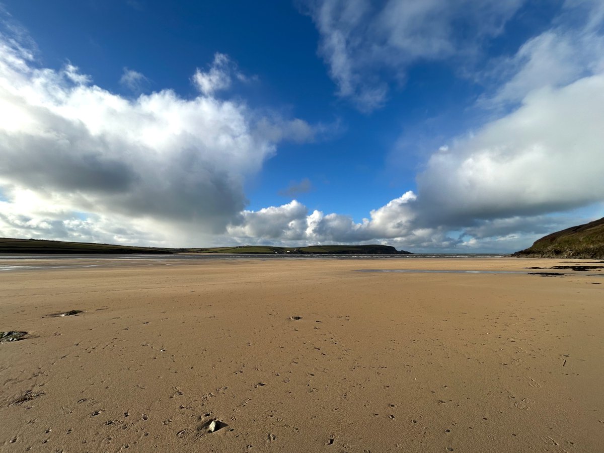 Katie Childs tweet media