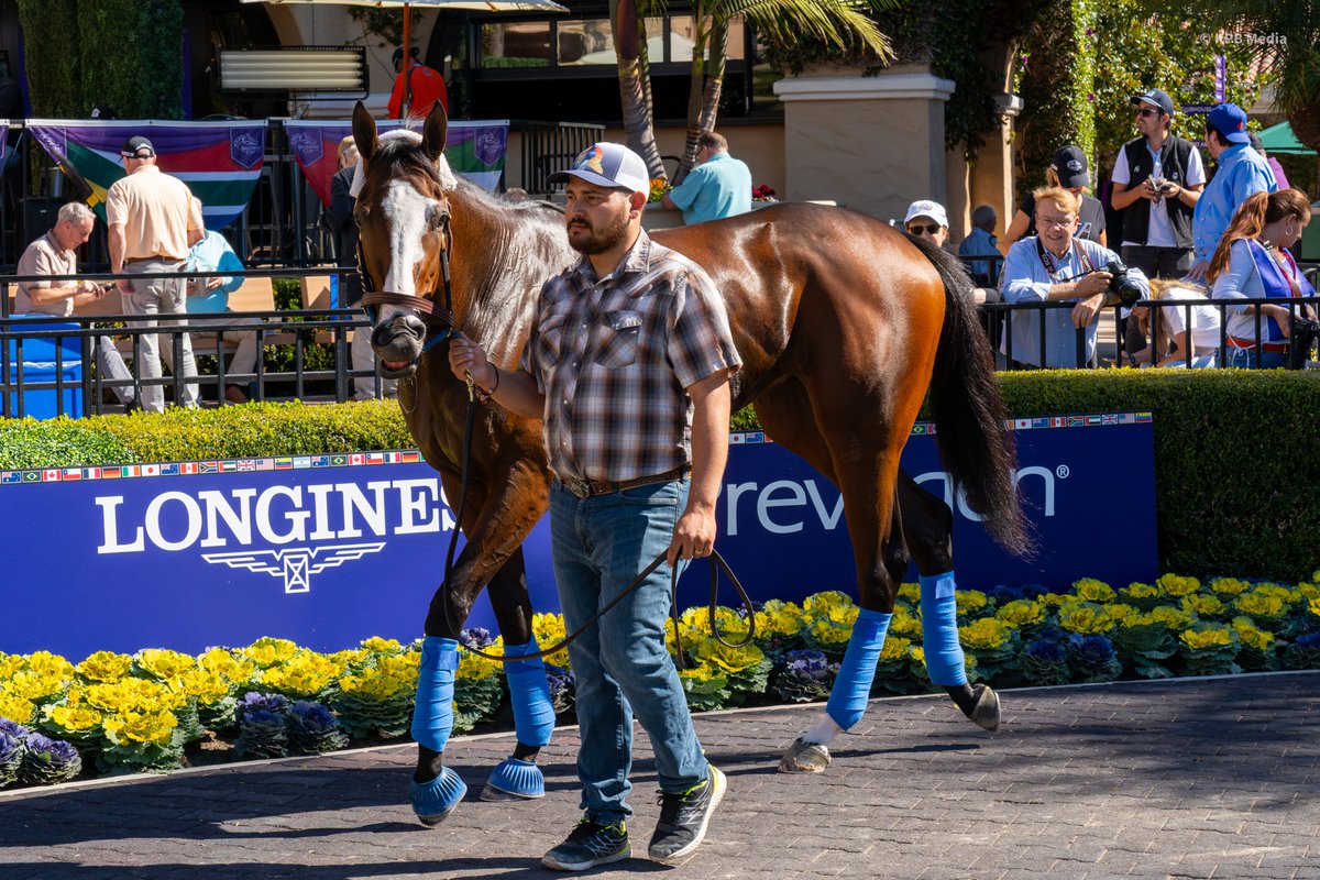 Champs of the Track tweet media