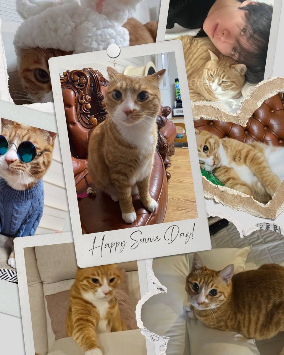 Happy Soonie Day 💛

Happy Day to Lee Know's first baby! From the moment he saw you in that animal's shelter it was love at first sight, thank you for making him happy, for giving him reasons to smile, please keep living healthy, eat lots of delicious food and bother your hyung a