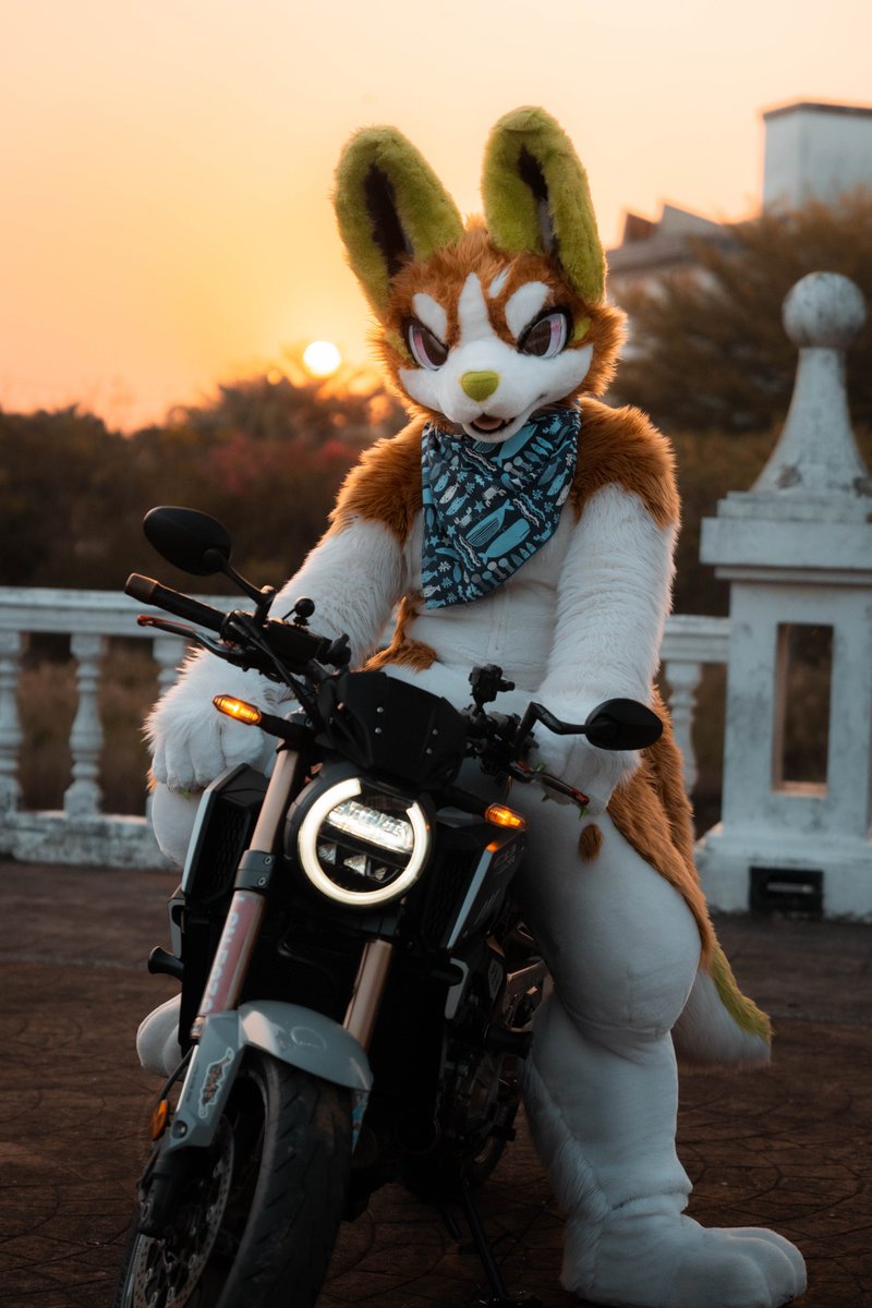 PLANT@TAIWAN tweet media