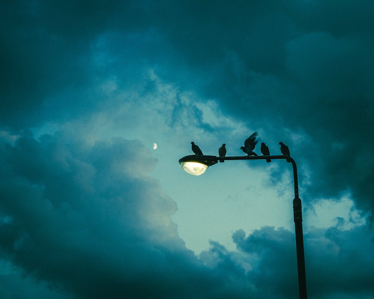 ‘in the atmosphere’

today on <a href="/drip_haus/">DRiP 💧</a>