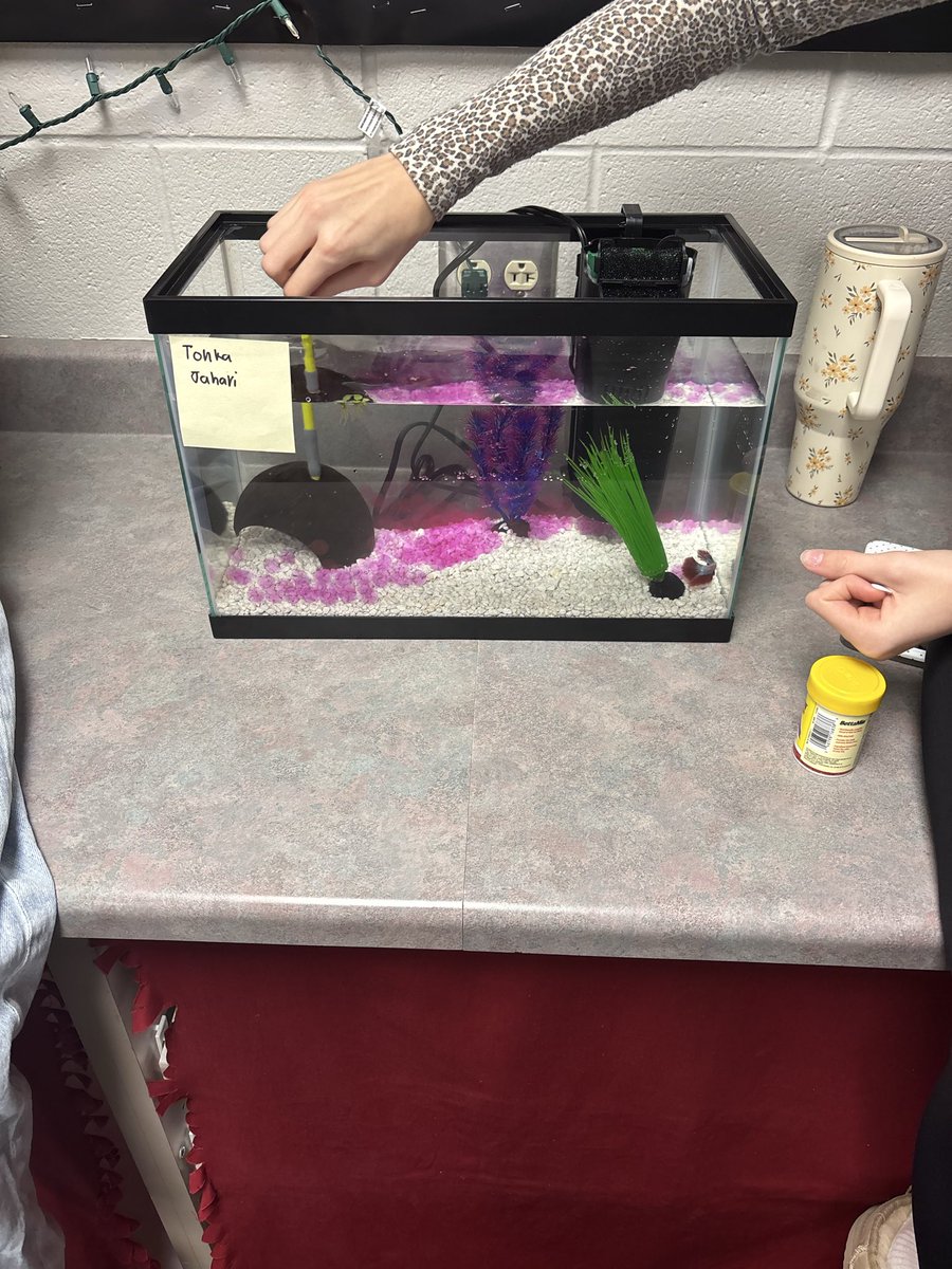 adamkinzer1's tweet photo. When you joke with your class about your birthday being this weekend and they show up with Starbucks and a present. Well we now have a class pet fish and aquarium.😂😂😂 @CSTWildcatsMS https://t.co/yqhhWV0P60