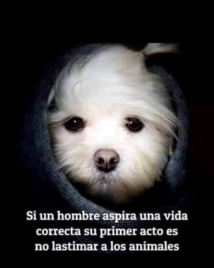 Sabueson (@sabueson) on Twitter photo 