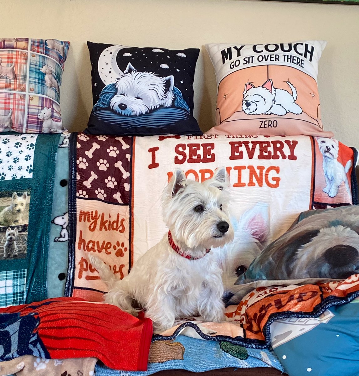 🐾 Jack 🧨 🌈🐾🩵💖💛🧡💚💙 tweet media