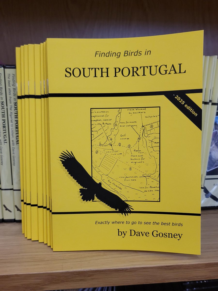 BirdersStore's tweet image. Fed up with the British climate and dreaming of better weather and better #birding?

Then the latest updated edition of 'Finding Birds in South Portugal' by Dave Gosney should be just the ticket ☀️

From the Algarve to Lisbon, it's the essential guide.

🔽
birders-store.co.uk/finding-birds-…